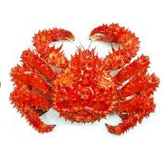 Doer Github - Download Amazing Ocean Photo | Desktop