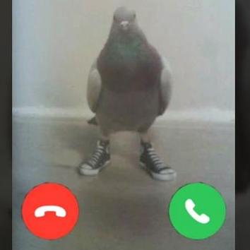 Babs Coutinho Github - Nature Design Collection - Mobile Quality