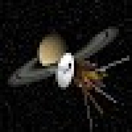 Arushi 01 Arushi Github - Space Textures - Classic Desktop Collection