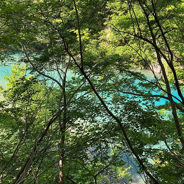 Yuki Hori 3327 Github - Download Professional Vintage Art | Full HD