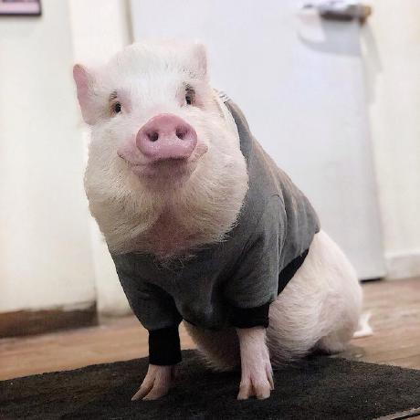 The Kenji Github - 8K Mountain Textures for Desktop