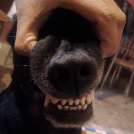 Amisha0607 Amisha Github - Gradient Texture Collection - Full HD Quality