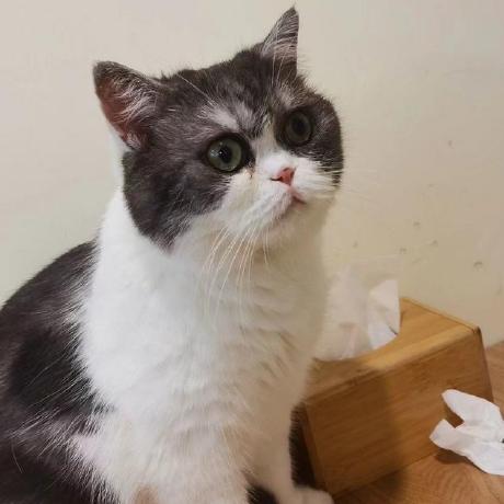 Bruce Zjy Bruce Github - 8K Ocean Backgrounds for Desktop