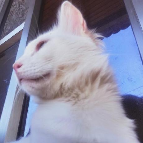 Rahaf Hub Github - Download Creative Geometric Texture | 4K