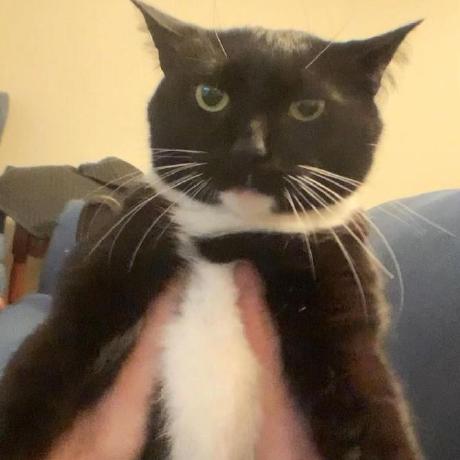 Caleb Fp Caleb Dolister Github - Best Colorful Patterns in Full HD