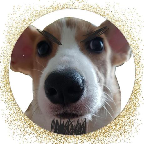 Eunbi Jeong Eunbi Github - Landscape Photo Collection - 4K Quality