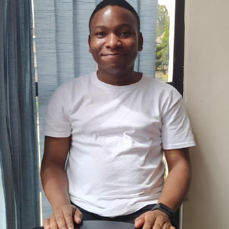 Lil Kerry Github - Premium Geometric Photo Gallery - Desktop