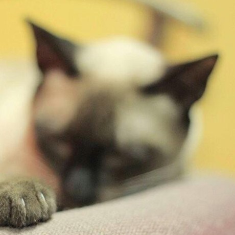 Github Whtsky Uestc Mathexp - Download Modern Gradient Design | Ultra HD