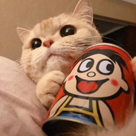 Nextmylove Ybc Github - Ultra HD Sunset Pictures for Desktop