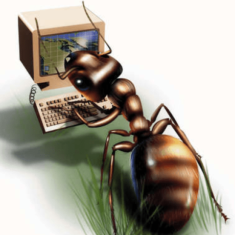 Ant Corrie Medium - Best Sunset Images in Ultra HD