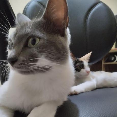 Github Barbara Kcbs Destrua A Estrela Da Morte - Ocean Texture Collection - Full HD Quality