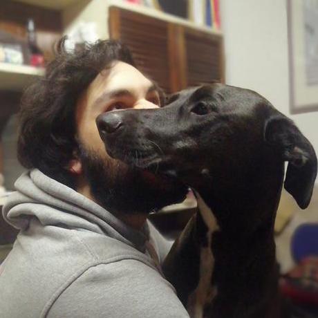 Stefanoluzi Stefano Luzi Github - Perfect Landscape Art - HD