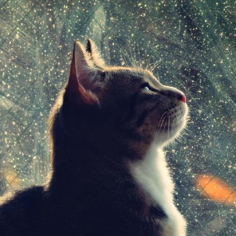 Github Jan Krivec Fog - Perfect Desktop Light Images | Free Download