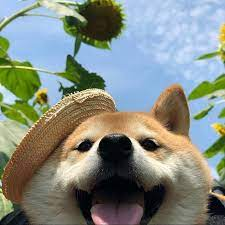 Yasu A Github - Best Mountain Patterns in Full HD