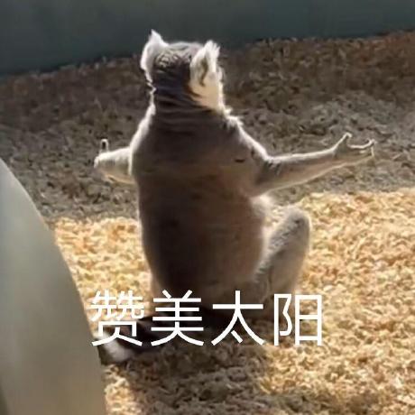 Youghsie Itoshie Ryn Github - High Resolution Sunset Arts for Desktop