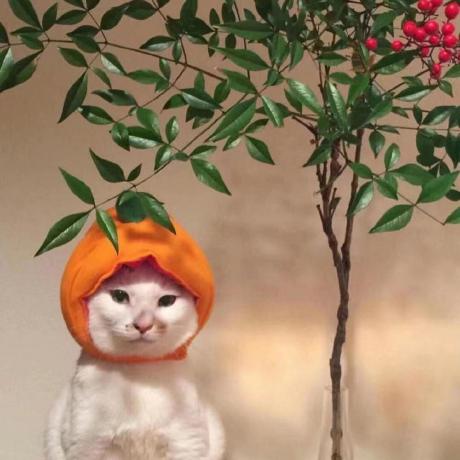 Reflux Zzy Github - Download Beautiful Dark Illustration | Desktop