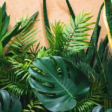 Github Donsutherland95 Water My Plants - 8K Gradient Wallpapers for Desktop