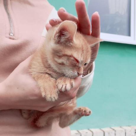 Milli Archives Foundation Github - Perfect Ultra HD Light Designs | Free Download