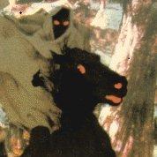 0xnazgul Nazgul Github - Premium Landscape Wallpaper - Mobile