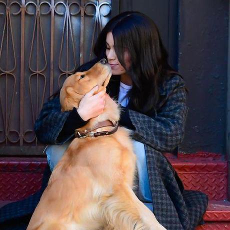 Gradely Shina Github - Professional Vintage Image - Desktop