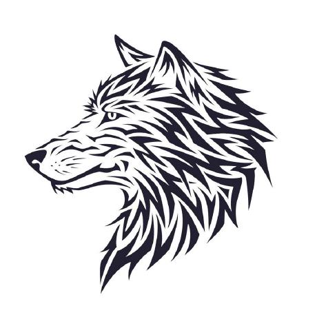 Renaud Roquefort Wolf Github - Download Beautiful Sunset Illustration | High Resolution