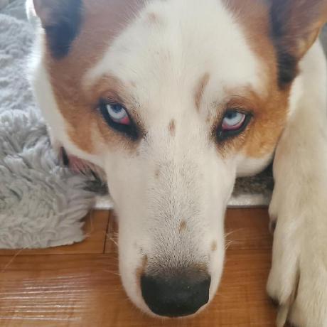 Kruschke John K Kruschke Github - Abstract Photos - Professional HD Collection