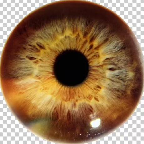 Titustang Titus Tang Github - Download Incredible Sunset Texture | 4K