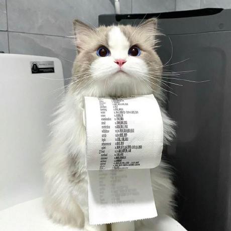 Github Spectrollay Minecraft Repository Minecraft - Elegant Ocean Photo - Full HD