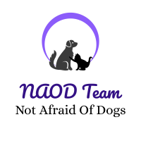 Naod Team Github - Download Gorgeous Dark Background | Ultra HD