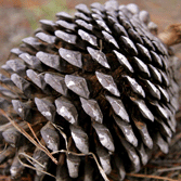 Fernandoeckert Jos Fernando Eckert Github - Classic Retina City Backgrounds | Free Download