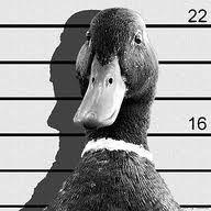 Phillytan Philly Github - Premium Ocean Texture Gallery - Retina