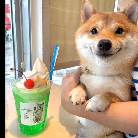 Github Ephemeral2333 Examonline - Download Perfect Gradient Photo | 8K