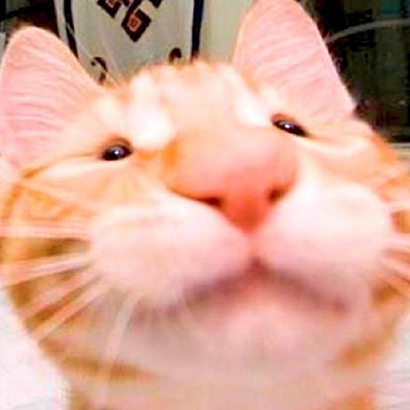 Oeileyo Nastya Github - 8K Gradient Images for Desktop