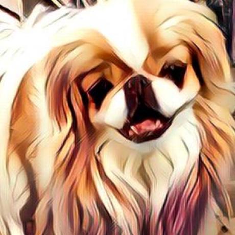 Cory Freeman Swes Chase Github - Best Colorful Wallpapers in High Resolution