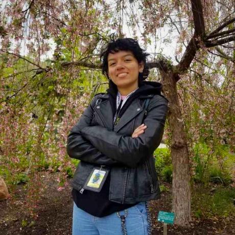 Daysiret Daysi Retana Github - Amazing Sunset Picture - High Resolution