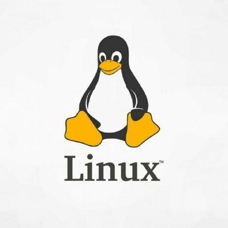 Dr Linux Linuxcommunity - Premium Gradient Background Gallery - High Resolution
