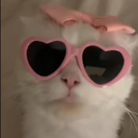 Akemiae Akemi Github - Best Nature Textures in 4K