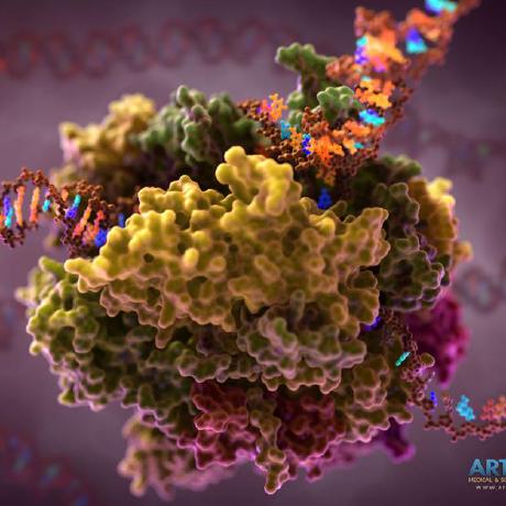 Salomonislab Github - Classic Gradient Illustration - Desktop