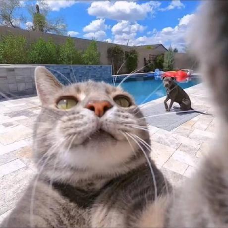 Ah Slk Github - Premium Light Photo Gallery - Mobile