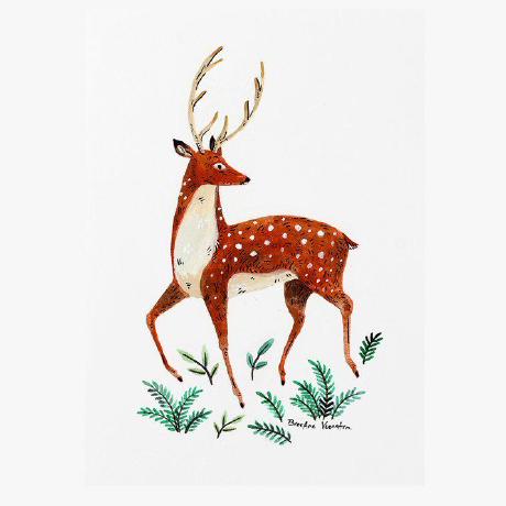 Bala Sj Bala Github - Elegant High Resolution Sunset Designs | Free Download