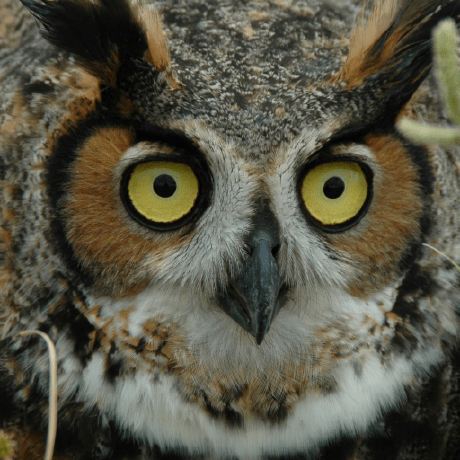 Adanner Andrew Danner Github - Modern Full HD Vintage Arts | Free Download