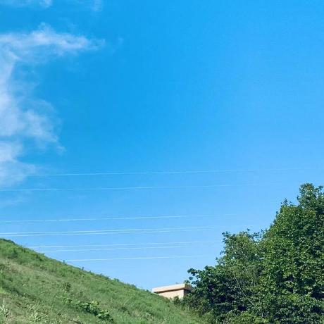 Dingdongd Xuliang Github - Classic Dark Picture - 8K