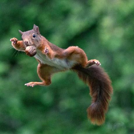 Vladislavrybakov Vladislav Github - Premium Gradient Picture Gallery - HD