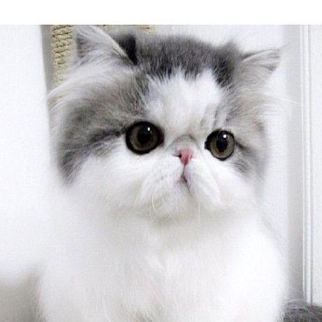 Teerawat Sangjun - Gorgeous HD Colorful Wallpapers | Free Download