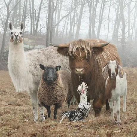 Github Zzzzfeng Proxydroid Https Github Com Madeye Proxydroid - Premium Space Photo Gallery - 4K