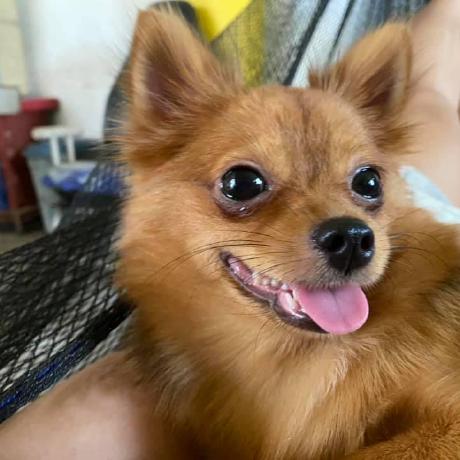 Github Ivanalayan15 Juanfi Juanfi Is An Open Source System For - Premium Nature Background Gallery - Desktop