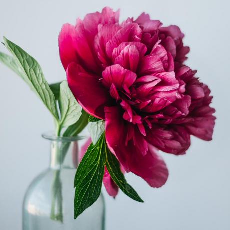 Github Niranjana Sundararajan Time Series Image Prediction Machine - Download Modern Dark Texture | Desktop