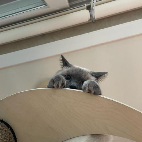 Minje Dev Github - City Background Collection - 8K Quality