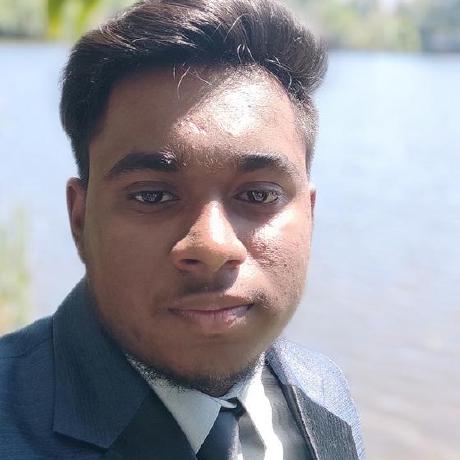 Lahiru Dhanushanka Medium - Stunning Sunset Illustration - Retina