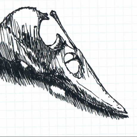 Disasters Github - Elegant Dark Picture - Ultra HD